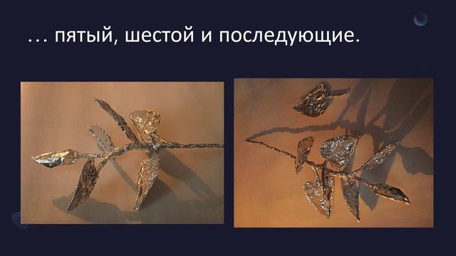 Цветы из фольги. Декоративно-лиственные растения