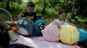 Сова с пледом 3 в 1