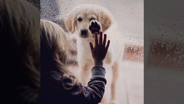 ≤Грустная музыка≥ 😔 Музыка хоть и грустная,но очень красивая.....(Sad music...)