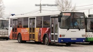 В Ярославле запустили бесплатный автобус из Дзержинского района до «Глобуса»
