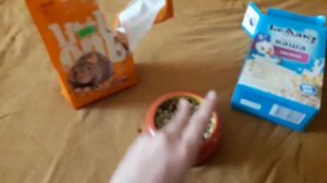 Стартовый набор для крысёнка!!! Что нужно для того чтобы завести крысёнка! Первое видео!