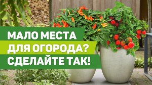 ОГОРОД В КОНТЕЙНЕРАХ. МАЛО МЕСТА, А УРОЖАЙ - СУПЕР!.mp4