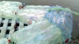 Моторная лодка из пластиковых бутылок