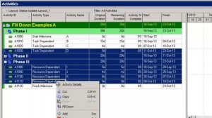 Primavera P6 Fill Down Tips