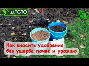 УДОБРЕНИЯ ЩЕЛОЧНЫЕ и КИСЛЫЕ. Что происходит, когда вы кладете в почву удобрения? Закисление почв.