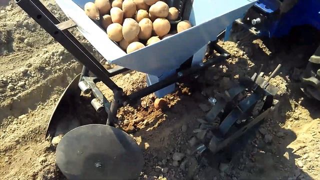 Посадка картошки картофелесажалкой, минитрактором 