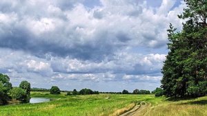 РЯЗАНЬ, БАЛАЛАЙКА И РОК... (Фото Игоря Баранова (Рязань), музыка - Балалайка In Rock)
