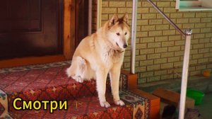 ЗАИМКА НА УРАЛЕ неудачный поход