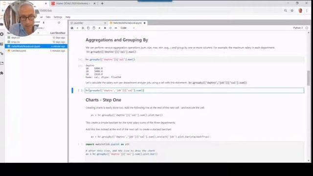 Introducing Data Wrangling and Visualization with Jupyter Notebooks and Python (DOAG 2020) смотреть онлайн