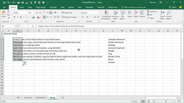 Excel - Bullets in Excel - Episode 2051