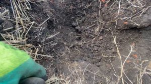 Первый металлокоп в 2024 году. Цены на металл