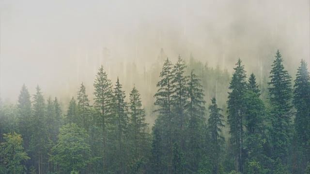 Успокаивающая музыка для души, для нервов, медитации, лечебная музыка для сердца, сосудов, релакс смотреть онлайн