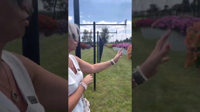 Calibrachoa comparison trials at Raker & Roberta смотреть онлайн