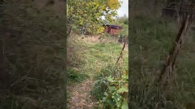 Дача Снт Дубки смотреть онлайн