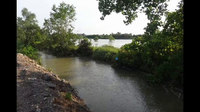 นำค่าพิกัดจาก Google Earth มาเขียนผังบริเวณใน SketchUp смотреть онлайн