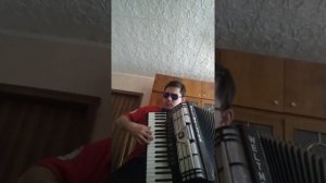 Мобильник на аккордеоне