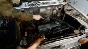 сатсума в реальной жизни(3)