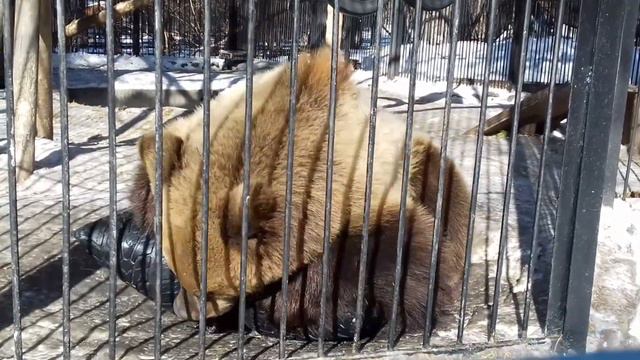 Алтай - шиномонтажник... часть 1 смотреть онлайн