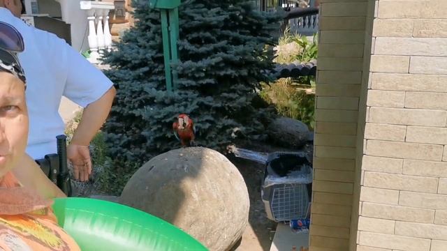 И снова на том же месте фото живодёр 3.07.2021 10.20 дня смотреть онлайн