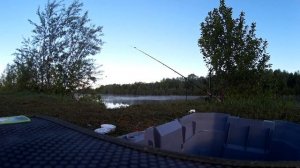 Ловля крупного Сазана на реке Меша.