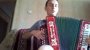 Завидовка с переходом.Игра на гармони 301.