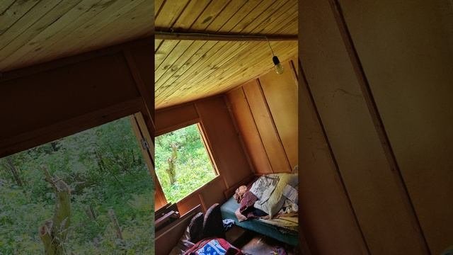 Купили заброшенную дачу ?часть 2
