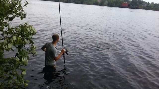 Ферментированная кукуруза ловля карпа смотреть онлайн