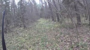 Охота с Русскими гончими на зайца 1 11 20