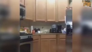 Лучшая Подборка Приколов #7