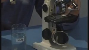 Общая биология  Наблюдение плазмолиза и деплазмолиза растительной клетки