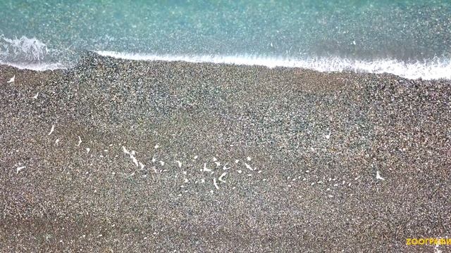 Черное море и чайки с высоты птичьего полета смотреть онлайн