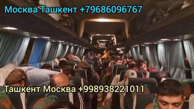 Санкт-Петербурге Узбекистан Автобус Россия Узбекистан Автобус #москваташкент
