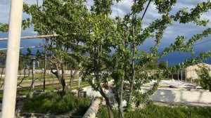 ГРУЗИЯ. ГОРИ. КРАСИВОЕ РЫБНОЕ ХОЗЯЙСТВО И РЕСТОРАН НА ВОДЕ #georgia #travel #tbilisi