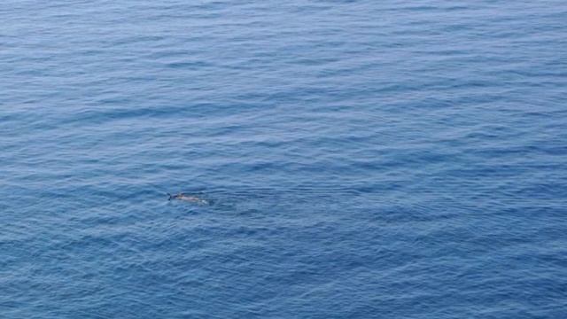 Про везение.mp4 смотреть онлайн