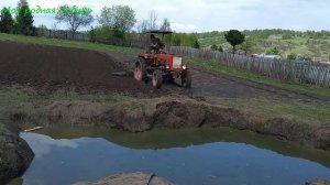 Пашем землю, сажаем картошку! Как мы картошку готовим к посадке?