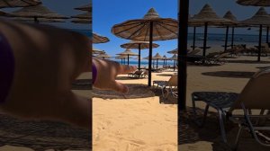 Jaz sharks bay удивил!