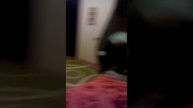 Футбол котом