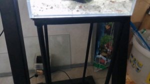 Мини аквариум 5 литров. уже не знаю какое по счету возвращение)