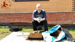 Подготовка кассет для пересадки саженцев голубики инвитро (in-vitro)