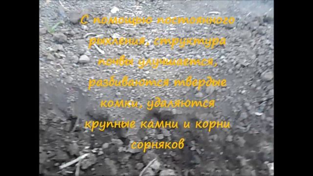 Полезные свойства рыхления (подпушка растений)
