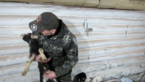 Про кастрацию козлят