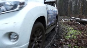 тест драйф по домашнему Land Cruiser Prado 150  2015г