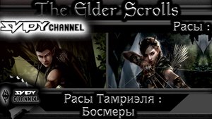 The Elder Scrolls-Расы Тамриэля-Босмеры(Лор)