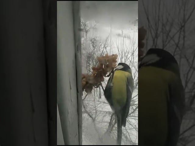 10 декабря 2023 г. смотреть онлайн