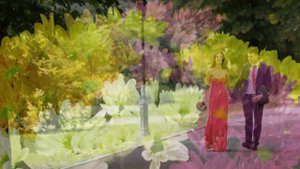 Витас - Отцвели уж давно хризантемы в саду