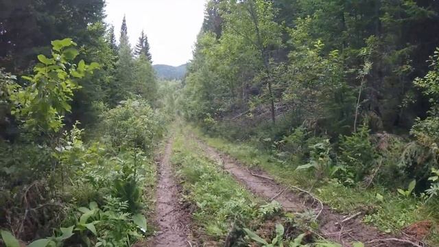 Поход по избам на Сыде. Часть 3. Рыбацкая изба.