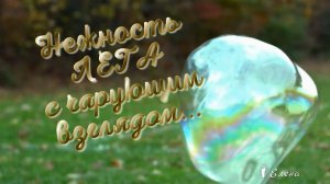 Нежность ЛЕТА с чарующим взглядом*