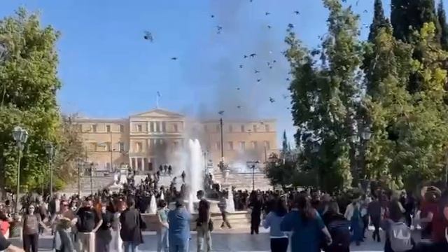 Митинги в Афинах переросли в беспорядки