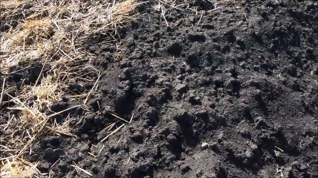 Действие глифосата смотреть онлайн