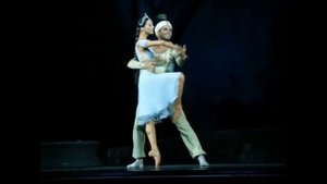 Николай Цискаридзе. Баядерка. 04. 2008 г. Никия - Светлана Лунькина